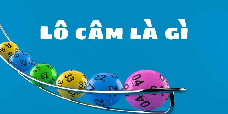 Hiểu rõ về lô câm và cách xác định